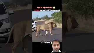 🦁jangel ka Raja to raja hota hai bhai 😱😱 jump 🦘#viralvideo #viralreels #trending #highlights #viral