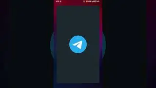 Nokia 8 (NB1) TA-1004 Running Android 13 CherishOS