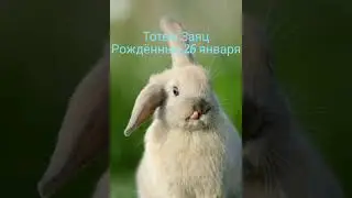 Тотем Заяц рождённые 26 января