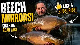 Stevenage Bait and Tackle Trip To Gigantica Main and Road  Lakes. March 2024
