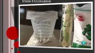 Goma Xantana