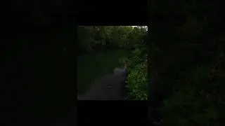 #shortvideo #fishing #нарыбалке #рыбалка #щука #щуканаджиг