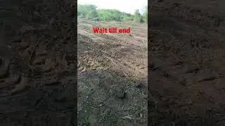 Unusual land