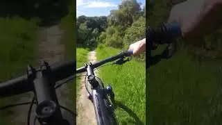 Chasing the summit #mtb #bayarea #eastbaymtb #mountainbike #xcmtb #enduromtb #mountainbike #mtblife