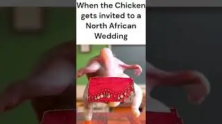 When the chicken gets invited to a North African Wedding