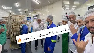 ملك صناعة الاسماك فى العالم لو عندنا منه كتير هنبقى اقوى دولة صناعية