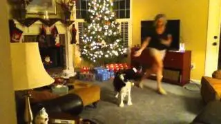 Christmas Tree Disaster