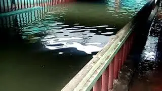 Chennai Floods 2015 - Madley Subway T Nagar