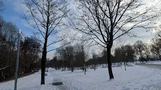 ❄️ Snow & Sunshine | তুষার আর রোদ | Calm Nature Live Stream 🌨️☀️