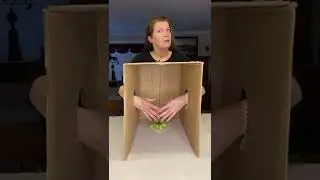 WHATS IN THE BOX PRANK! 🐍 #shorts