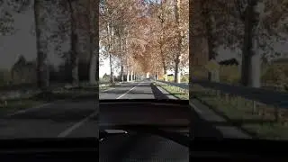 Tree lined  road toward Bergerac, France 15 November 2018