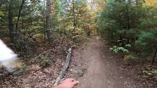 THE WARNER TRAIL Sec 7, F. Gilbert Hills State Forest Foxboro, MA  Fall Foliage Vid 7 of 10