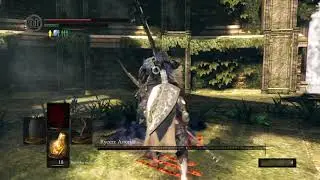 DARK SOULS REMASTERED - Artorias vs Black Knight's Halberd