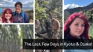 Final Days in Kyoto & Osaka || Vlog # 3 || Universal Studios, Pokemon Centers, and Arashiyama!