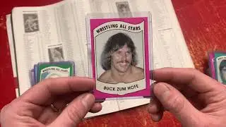 Wrestling All Stars 1982 series B set review