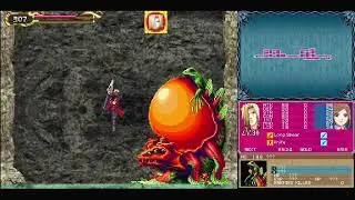 Castlevania: Portrait of Ruin Episode 10: Two Headed Frog Beast