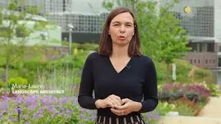 Groene steden in 13 landen - NL