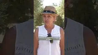 L'or vert des Alpilles