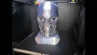 T 800 Alexa