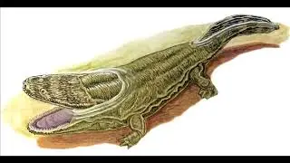 Museum in a Minute: What is a Metoposaur?