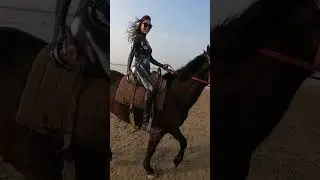 Girl care horse and training horse in beginner