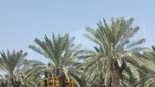 from Jericho to Tel aviv Israel