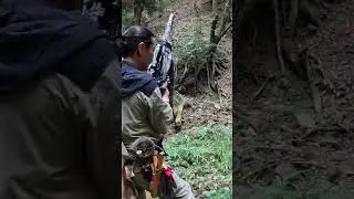 猪を撃つ