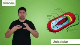 Sinal Unicelular - Sinal&aacute;rio de Ci&ecirc;ncias da Natureza &ndash; Biologia