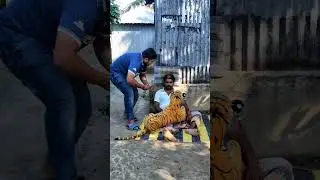 Grandpa vs  Fake Tiger! 🐅😱 Funniest Prank Ever! #shorts