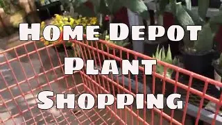 🌴 Home Depot Plant Shopping and Haul / Shop with me 🌴 Tropical Garden Houseplants Orchids