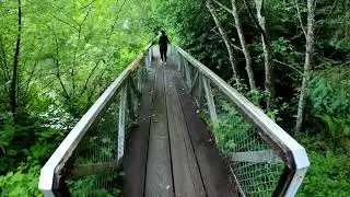 Sasquatch Provincial park BC