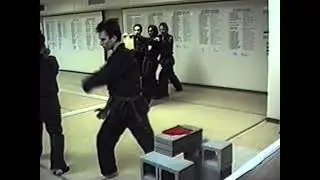Kenpo Breaking Blocks and Boards