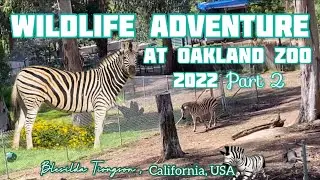 WILDLIFE ADVENTURE AT OAKLAND ZOO 2022 PART 2 // #lion #meeekat #zebra #hyena #elephant