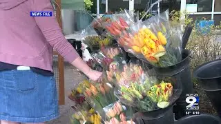 Eugene Night Market opens for 2024