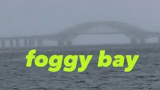 The Fog At Sampawams Point - Babylon Marina #vanlifetravels #greatsouthbay #longislandlife #babylon