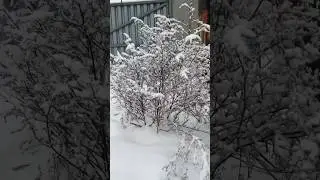 До конца !!!