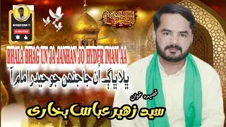 Bhala Bhag Un Ja Janhan Jo Hyder Imam Aa | Qasida | Syed Zuheer Abbas Bukhari 
