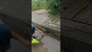 Best Tool Remove Debris Clogged Drain #unclog #remove #drain #shorts
