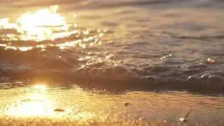 Sand beach detail at sunrise, tracking shot | Free stock footage