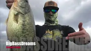 Extremaduramonsters . BigPikeDreams and BigBassDreams