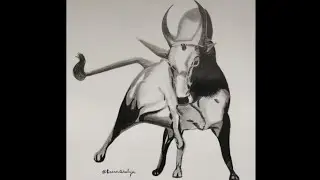 How to draw Jallikattu kalai | Pongal festive drawing | Jallikattu pencil drawing|