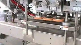 JDA-Bottle Capping Machine , Automatic Capping Machine USA Canada