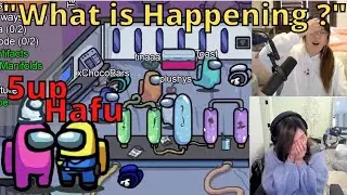 РЕАКЦИЯ 5up Hafu СКЛАДЫВАЮЩИХ тел в Образце!