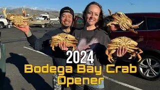 Соревнование по ловле крабов Bodega Bay 2024 [ЛИМИТЫ] Неожиданный улов, ПОЙМАЙ И ПРИГОТОВЬ!
