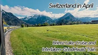 Switzerland | Brienz Lake Cruise and Interlaken-Grindelwald Train【SWITZERLAND】ep. 6
