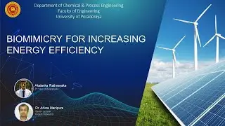 Biomimicry as a design strategy for improving energy efficiency | DCPE | UoP
