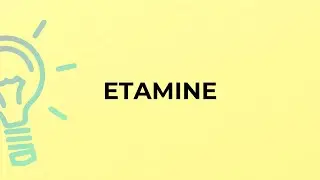 What is the meaning of the word ETAMINE?