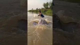 wow amazing Fishing video in the river. Best fishing deep water. #fish #fishing #reel #short