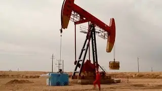 Large oil field discovered in northwest China's Xinjiang