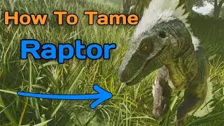 How To Tame a Raptor On ARK Ascended!!!!